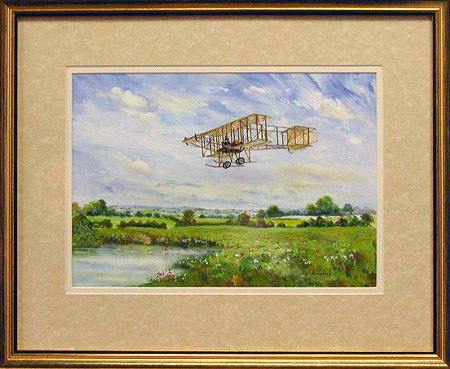 A Boxkite in Summer