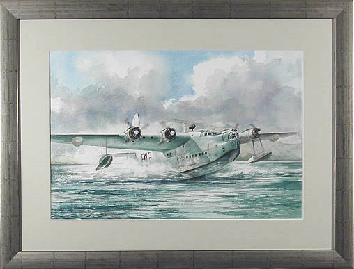 Wings over Water