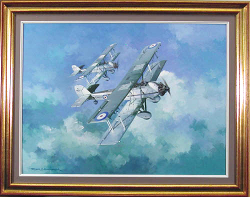 Big Beautiful Biplane