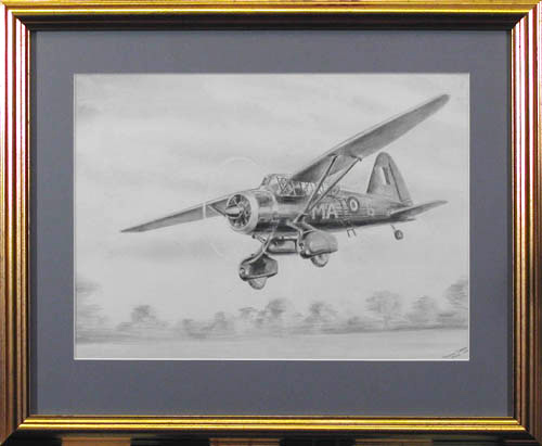 Shuttleworth's Lizzie
