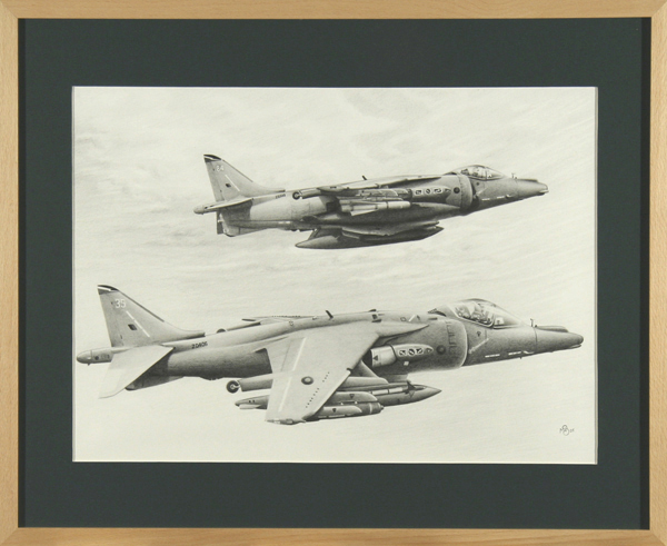 Harrier Study