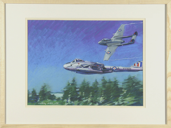 Low and Fast over Luneburg Heath