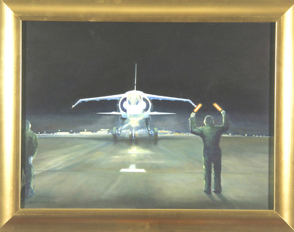 TSR2 Night Bird