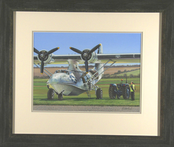 Duxford Cat