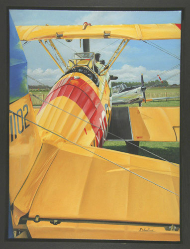Stearman at Goodwood