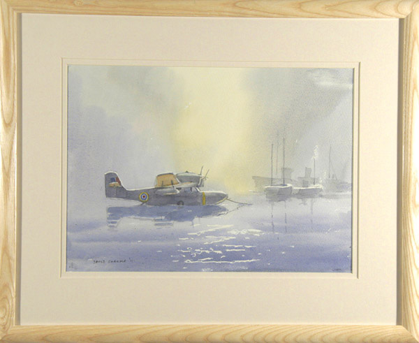 Gosling in the Mist