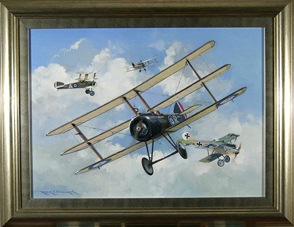 Sopwith Triplane 10 Naval Sqn