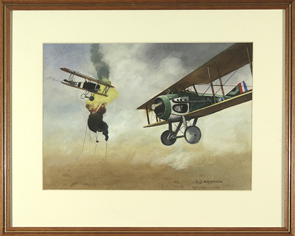 Frank Luke Balloon Buster USA