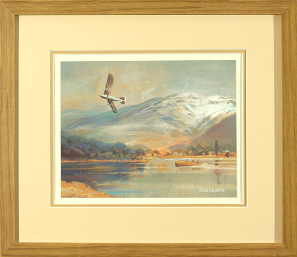 Falcon over Windermere