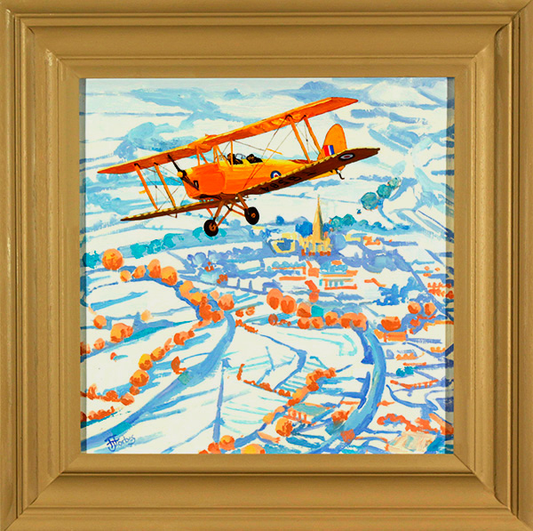 Tiger Moth over Salisbury