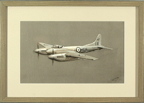 Study of a Sea Hornet