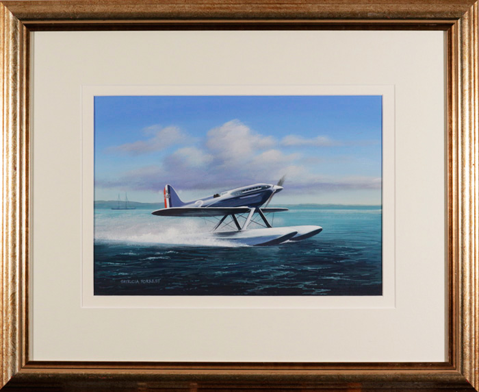 Schneider Triumph at Calshot
