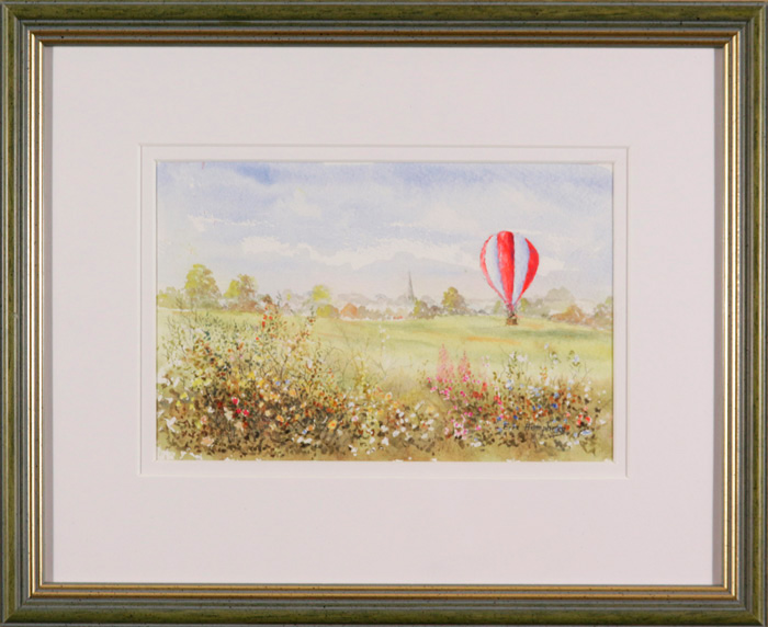 A Shropshire Landing