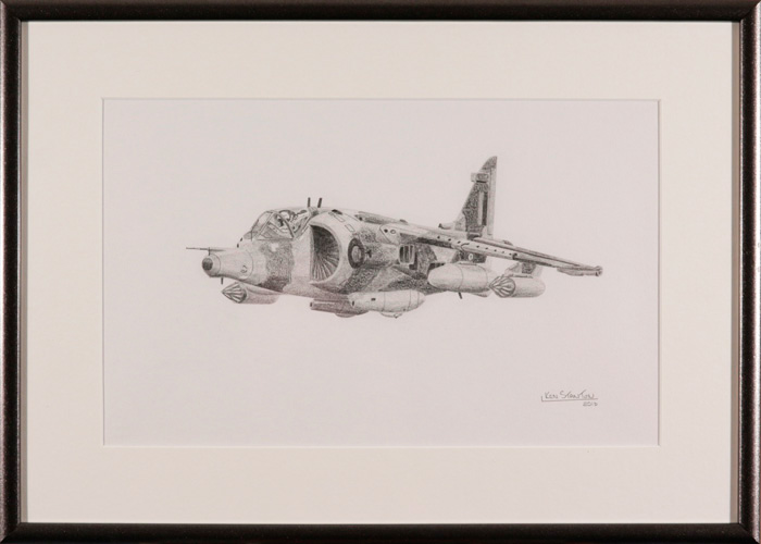 Harrier