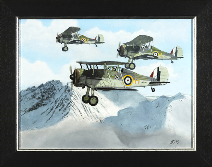 Norwegian Campaign Gladiators