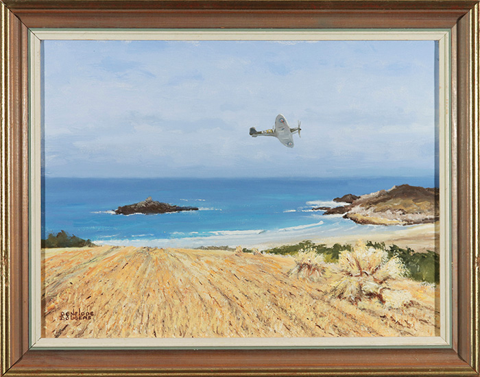 Coastal Flight
