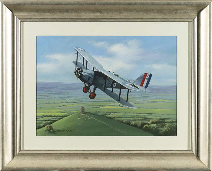 Wapiti over Glastonbury Tor
