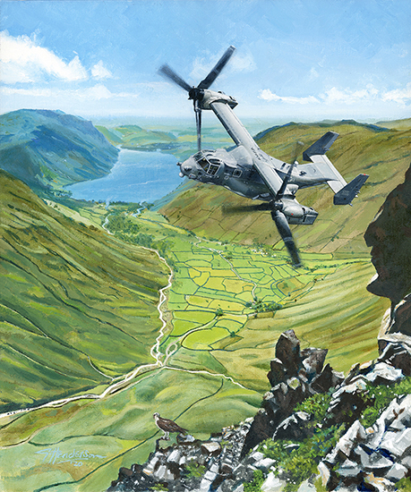 Ospreys over Wastwater