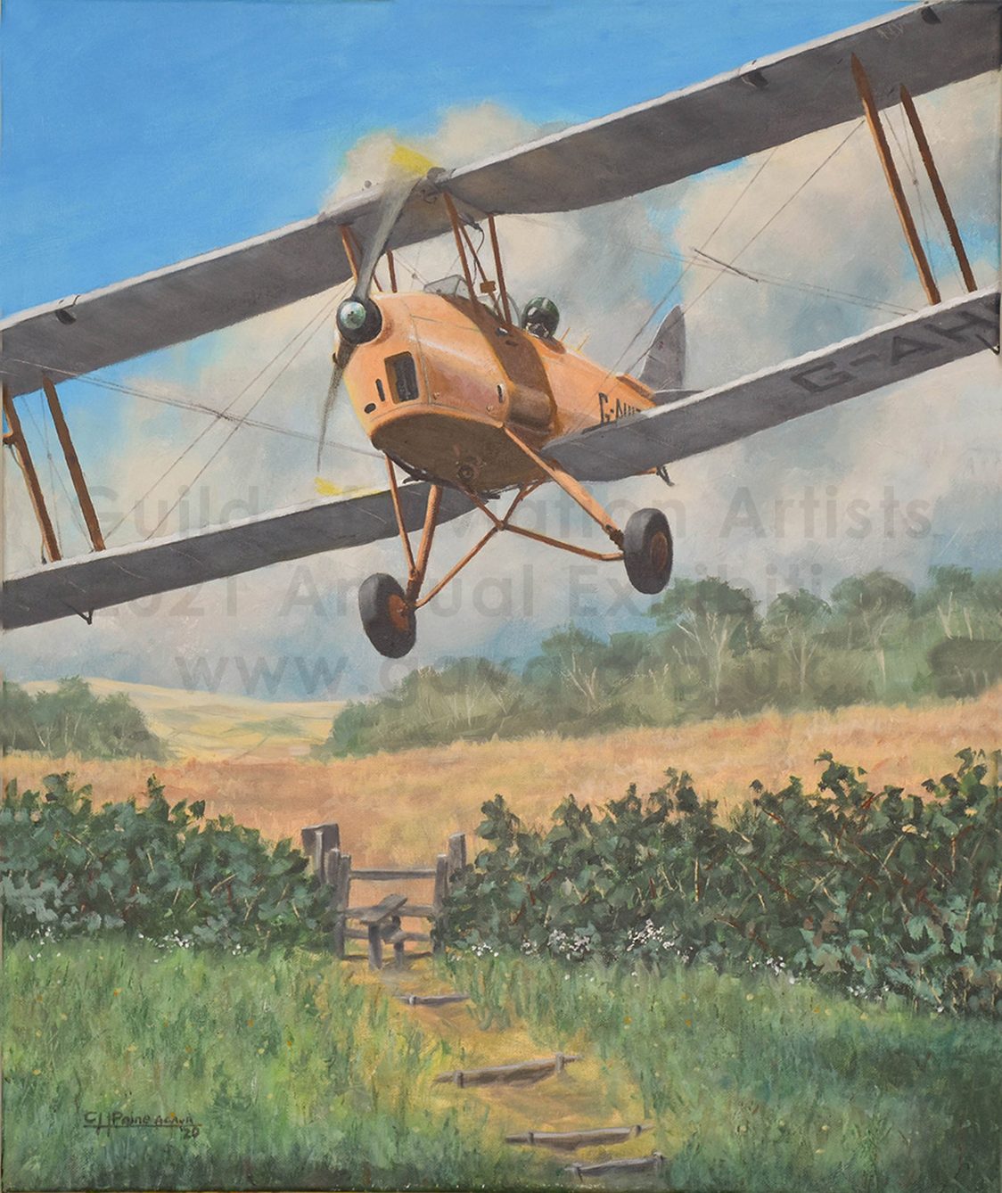 Over the Hedge in Style