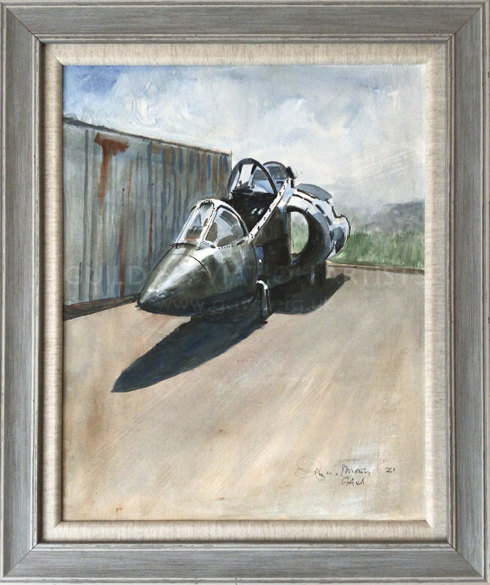 Harrier Study