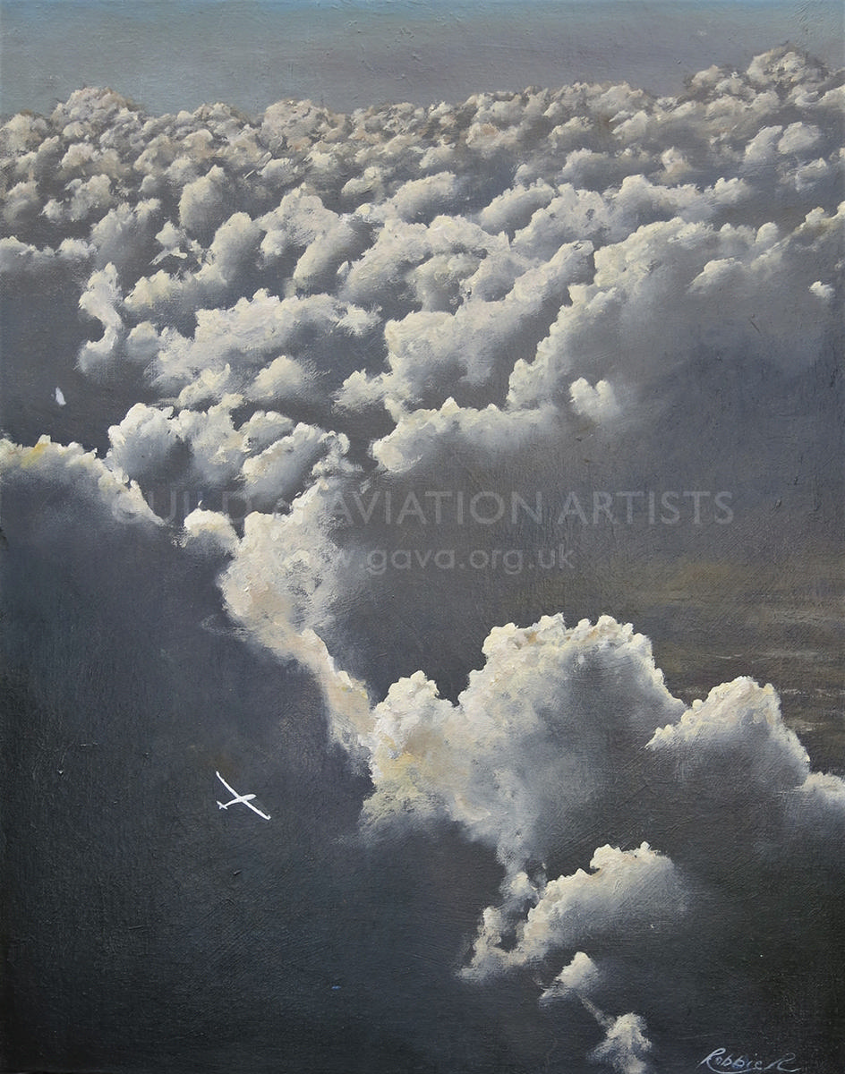 Aerial Playground