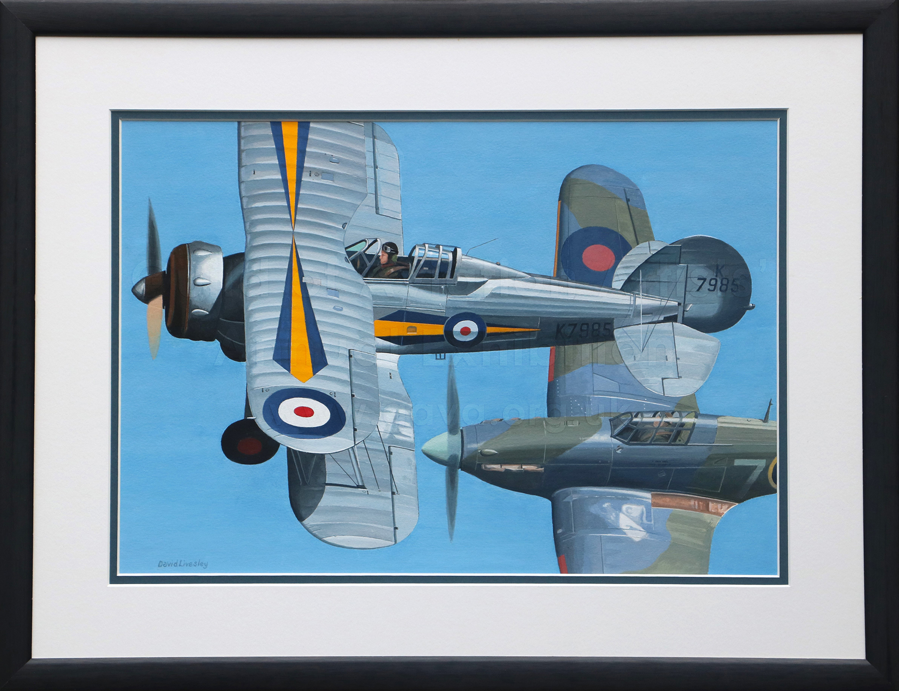 Formation Flypast