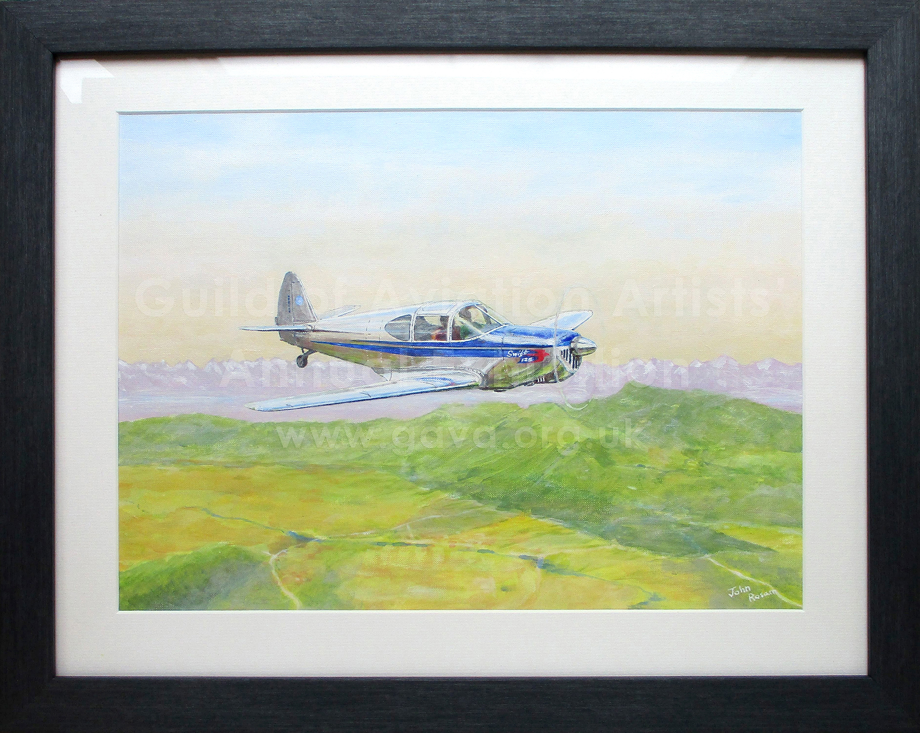 Alpine Swift