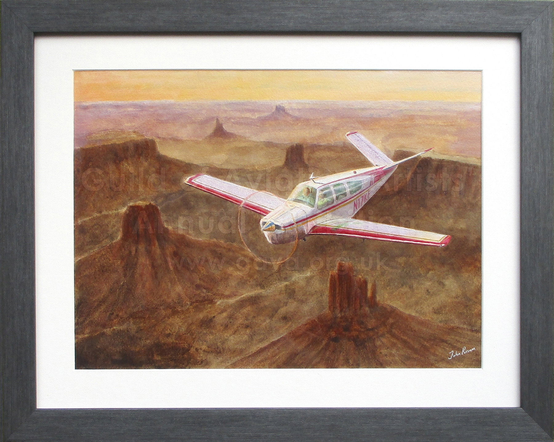 Evening Flight Monument Valley