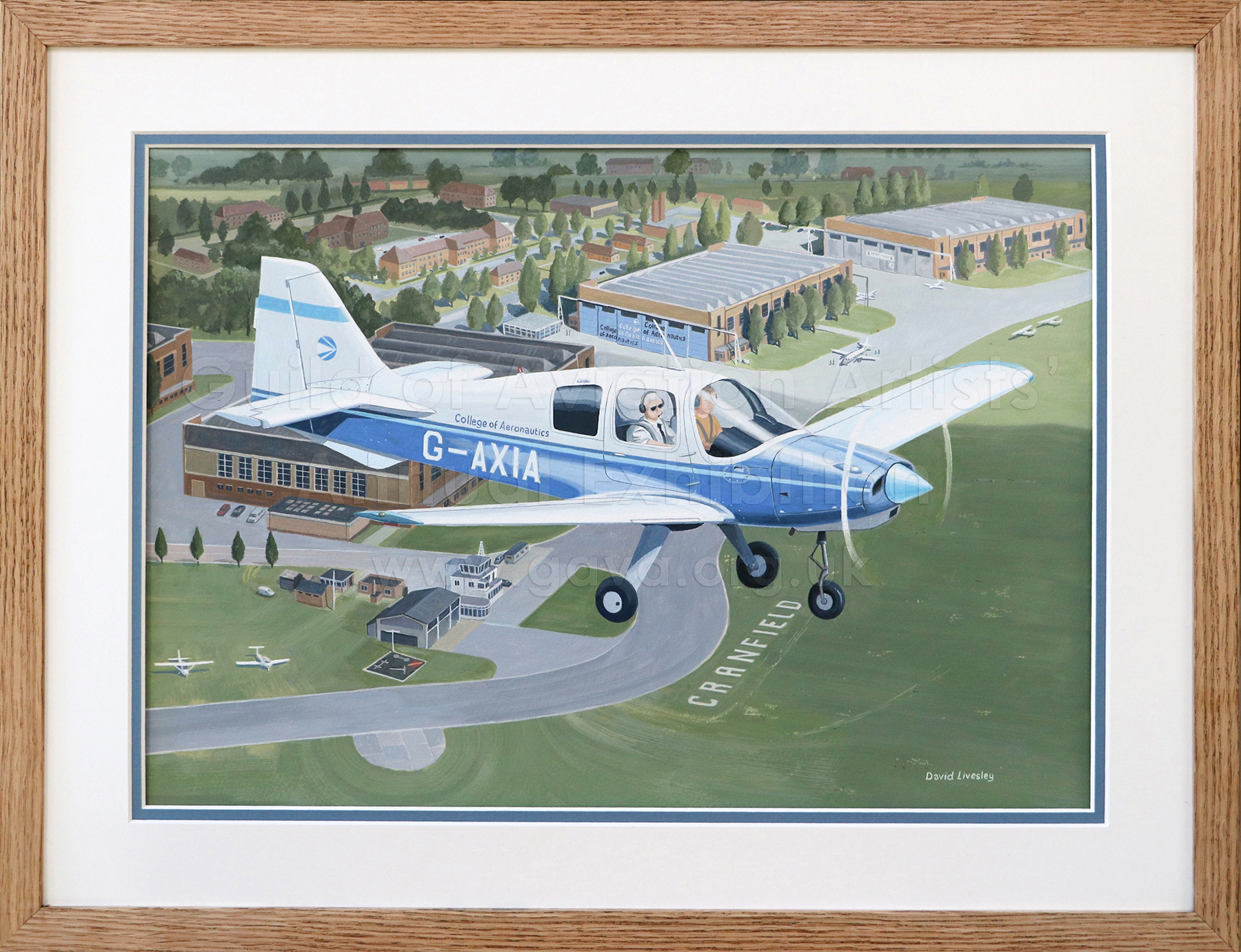 The Flying Lesson
