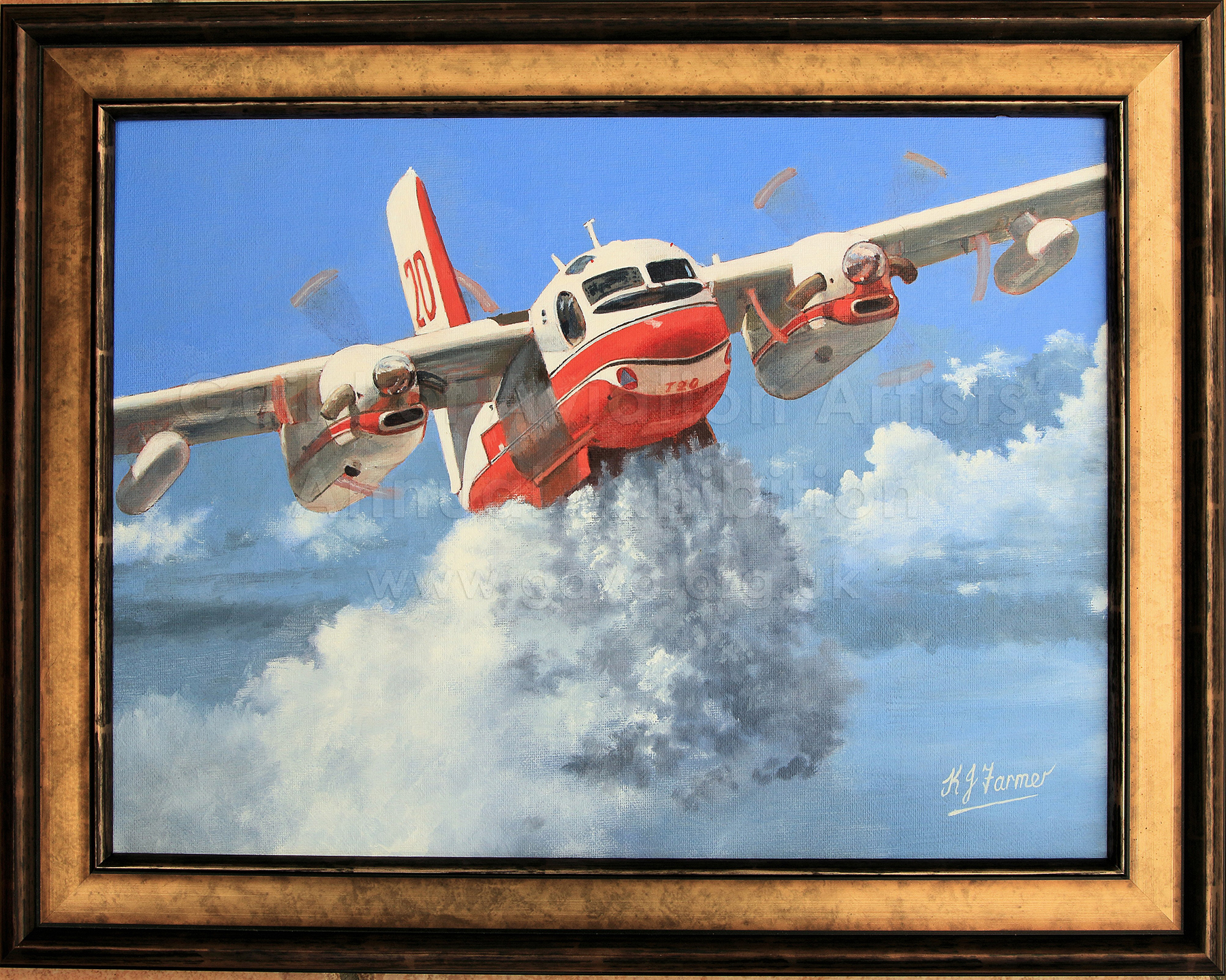 Canadian Fire Bomber