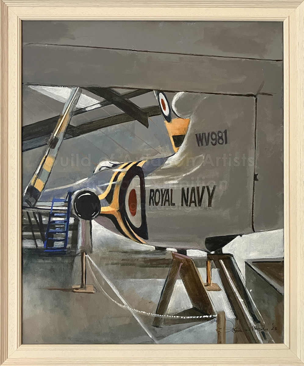 Sea Hawk Geometry